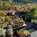 봉곡동170 이미지