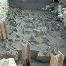 동래 지하철역(4호선) 이미지