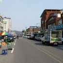 금산인삼국제시장 이미지