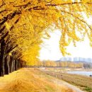 강변에서 이미지