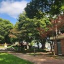 해남읍 단군전 이미지