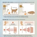 우리집 강아지 이미지