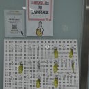 댄스스포츠(초급) | 폴댄스 체험 후기(오하운 성수) | 의상 및 준비물, 운동효과, 수업방식, 무료체험 방법 총정리