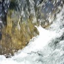 향기민박 이미지