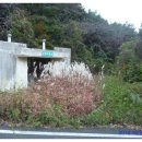 궁전장여관 이미지