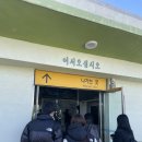 묘하우스 | 묵호 당일치기 혼여행🌊(라운드어바웃커피,동남횟집,논골담길,등대그집,도야하우스,묘한상점)