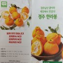 남산끗티