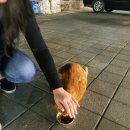 대천치킨 이미지