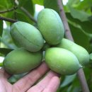 학자농장 이미지