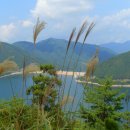 흐르는물 이미지