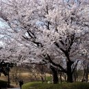 아지랑이 이미지