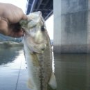 네오밸리(주) 이미지