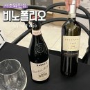 2024-주215 | 서초 와인샵 퀄리티 좋은 와인이 많은 와인 수입사 비노폴리오 방문후기