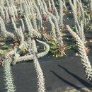 김관호한의원 이미지