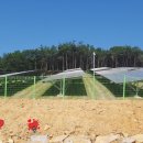 행복사랑 태양광발전소 이미지