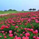 의성조문국사적지 이미지