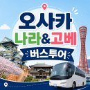나라투어 - 용인시 수지구 신수로 767 | 오사카 나라 고베 버스투어 후기, 이동 걱정 없이 즐긴 일본 여행