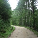 소광리민박 이미지