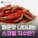 매운맛을 나타내는 스코빌 지수란 무엇일까?🌶️🤔 이미지