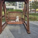 아띠그루밍 이미지