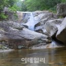 신선이 노닐던 '두타산'이 꼭꼭 숨겨둔 비경 속으로 이미지