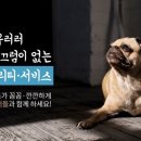 마이펫 동물병원 이미지