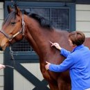 코로나19백신이 생물무기라고 증언예정이었던 교수 사망 이미지