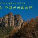 청송 - 부천시 소사구 경인로53번길 8 | 청송