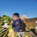 통큰 에듀파크 어린이집 이미지