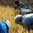 미원6리 이미지