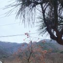 여울숲펜션 이미지