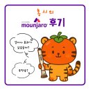 홍시약국 | 홍시의 마운자로 한 달 후기 | 식욕변화부터 몸무게까지