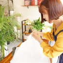 쇼몽플라워 이미지