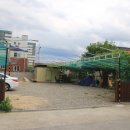 감자서리 이미지