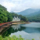 2024-07-07(일)충북제천 의림지-치유의숲-비룡담(마법의성) 트래킹코스 답사 이미지