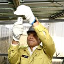 금지면 용전마을 이미지