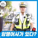 [서울경찰] ⏰도로를 달리는 암행어사가 있다? [이 시각 서울경찰] EP.7 이미지