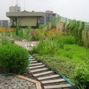 봉현초등학교 이미지