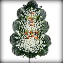 오전천로 이미지