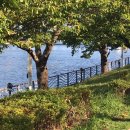 스타벅스 부산괴정역점 | 가을이. 눈치보지 말고 냉큼 오시요.