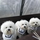 옥천산방라온 이미지