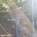 벚나무쉼터 화장실(배봉산) 이미지