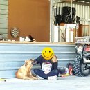 용안농장 이미지