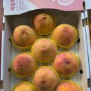 황진농장 이미지