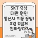 지에스25 하양청구점 | 📌 SKT 유심대란 원인·통신사 이동 꿀팁! 0원 요금제 진짜일까?
