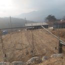 백신2리 이미지