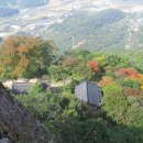 정상농장 이미지