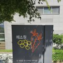 그린품에