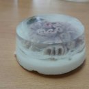 양오초등학교(병설) 이미지