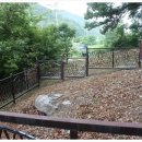 운학동 돌방무덤 이미지